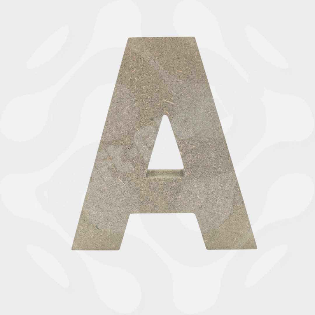 488891712_1903239593810809_3118358803083385481_n