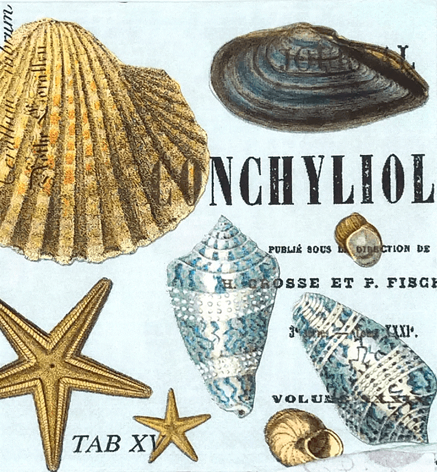 460942705_541496921701770_7551939273447138348_n 460942705_541496921701770_7551939273447138348_n