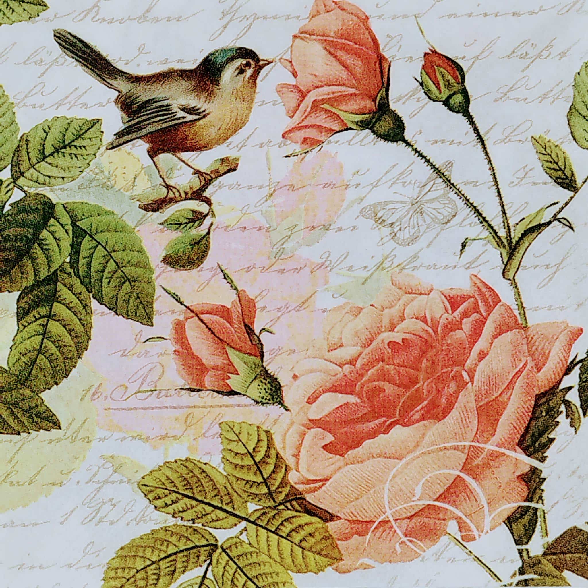 329382583_2030162443856052_3212428685516717264_n 329382583_2030162443856052_3212428685516717264_n