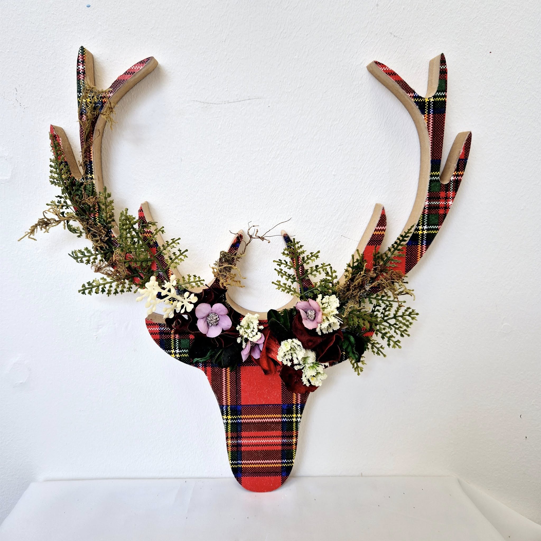 495566742_10163113781446779_3078371256270022582_n