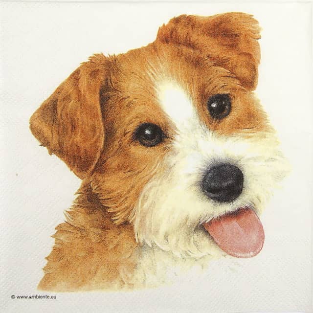 Paper-napkin-Ambiente-Bobby-13316325Q Paper-napkin-Ambiente-Bobby-13316325Q