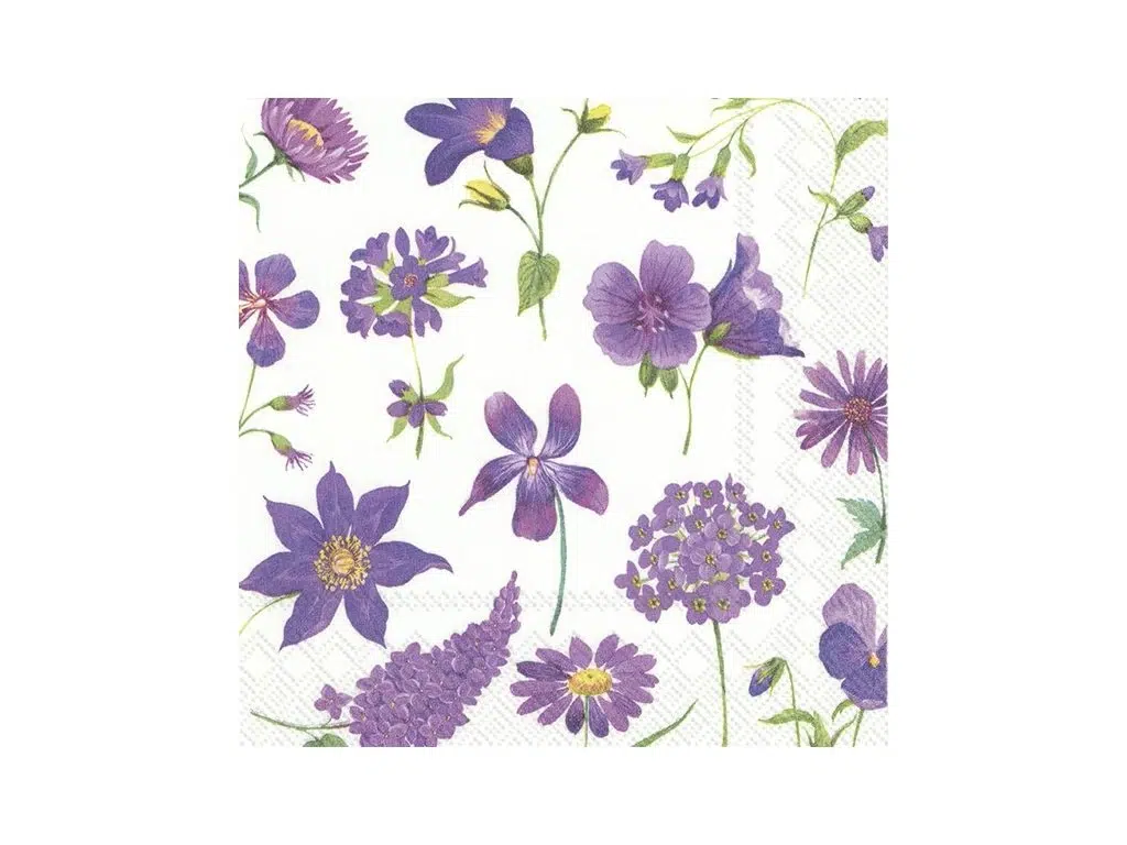 147114_ihr-clea-male-ubrousky-25×25-cm 147114_ihr-clea-male-ubrousky-25×25-cm