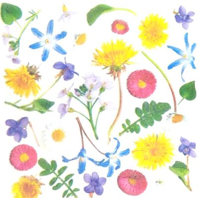 Wildflowers napkins 491  33cm