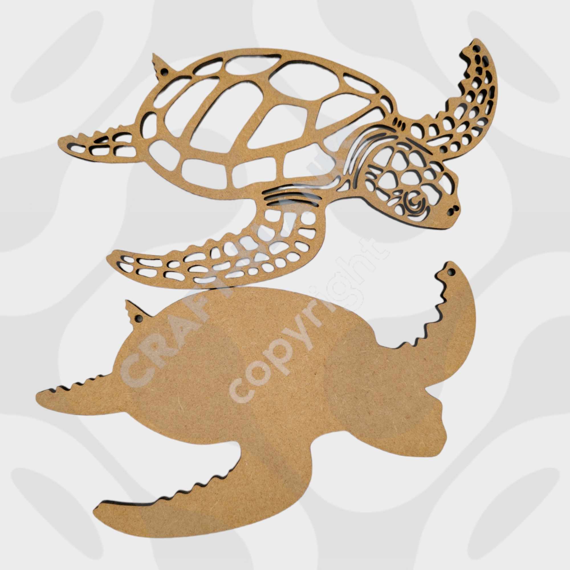 441869273_1027879168763274_5347065378004873825_n