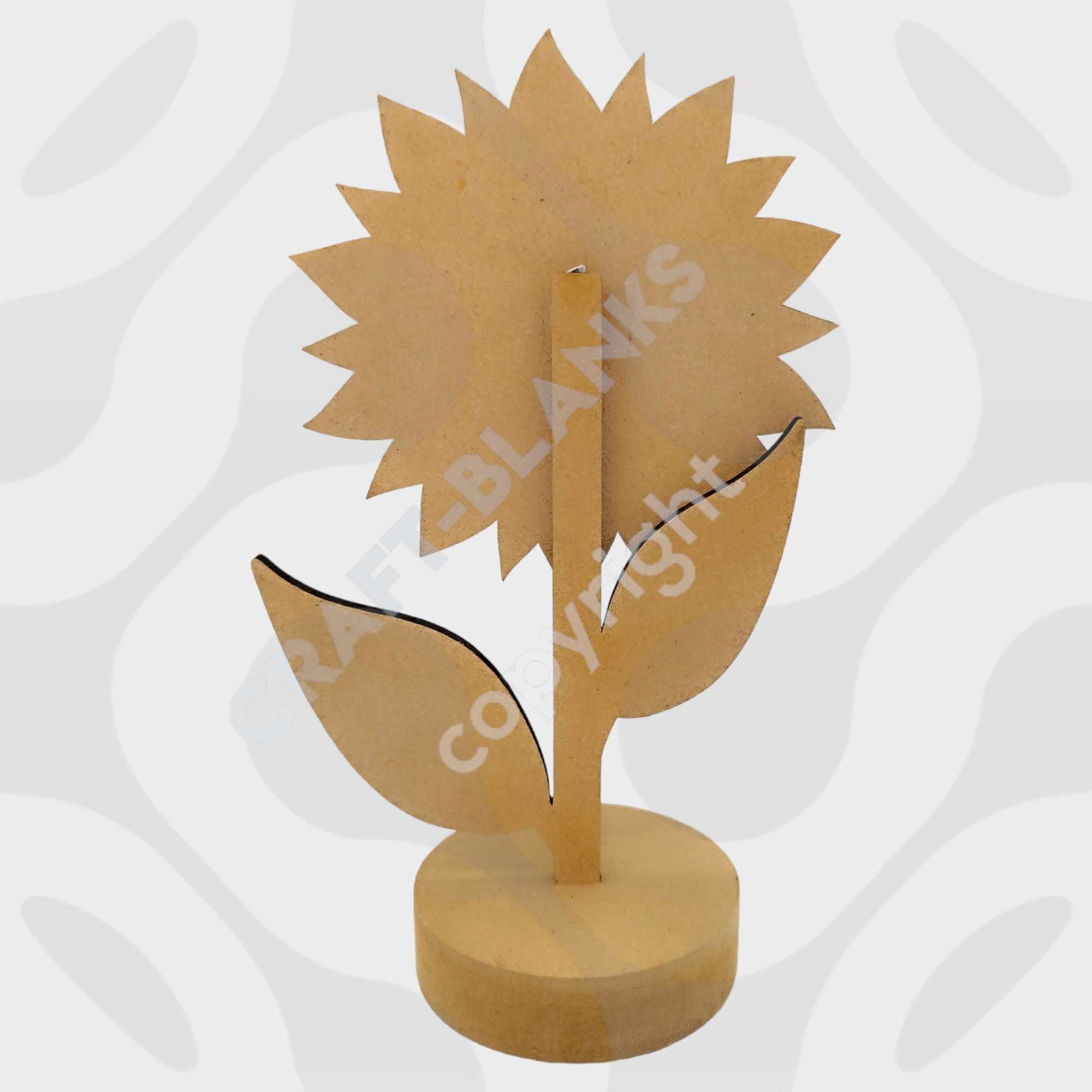 448248102_2465663923618986_3454151760247900087_n