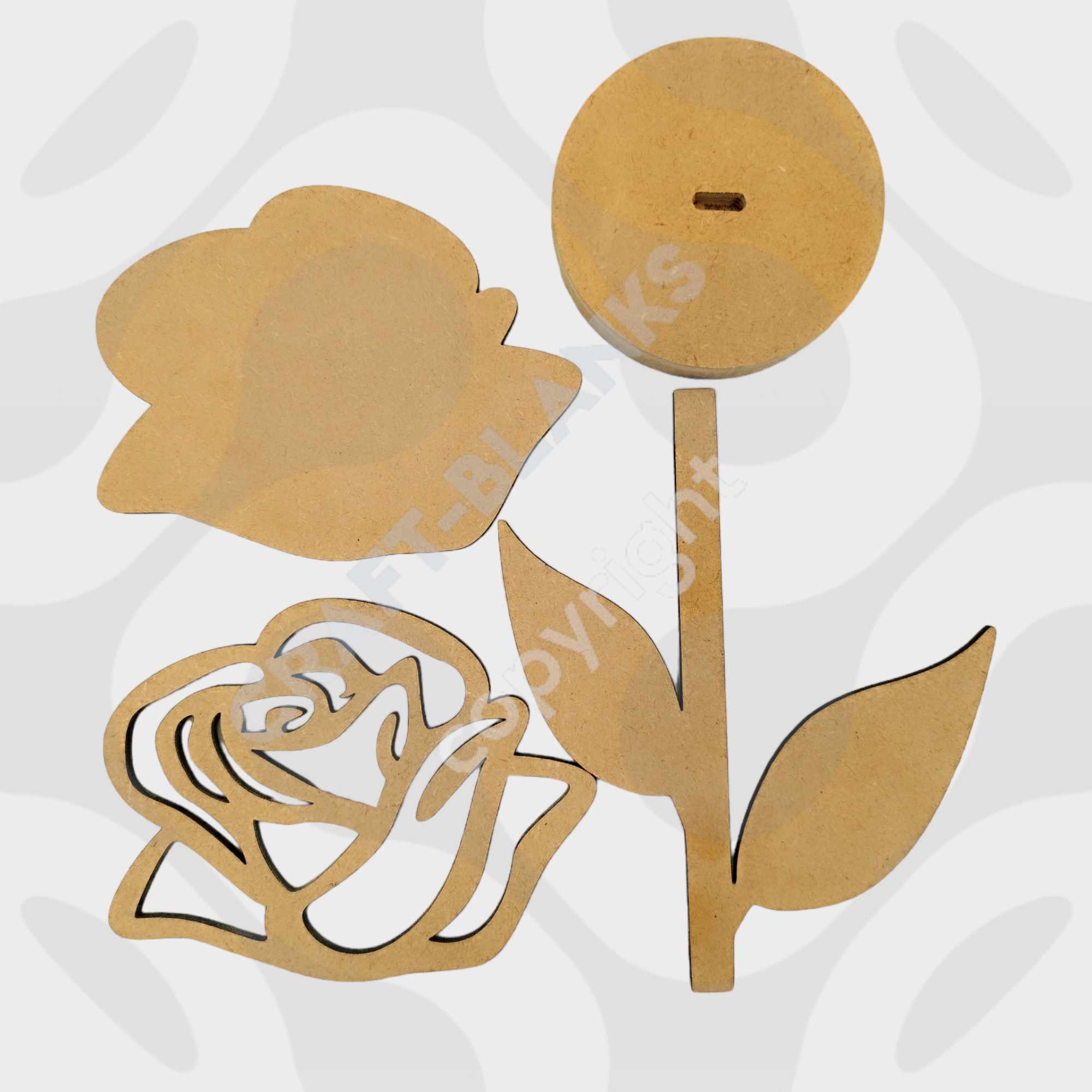 448387938_448502488117204_2174837256726868446_n