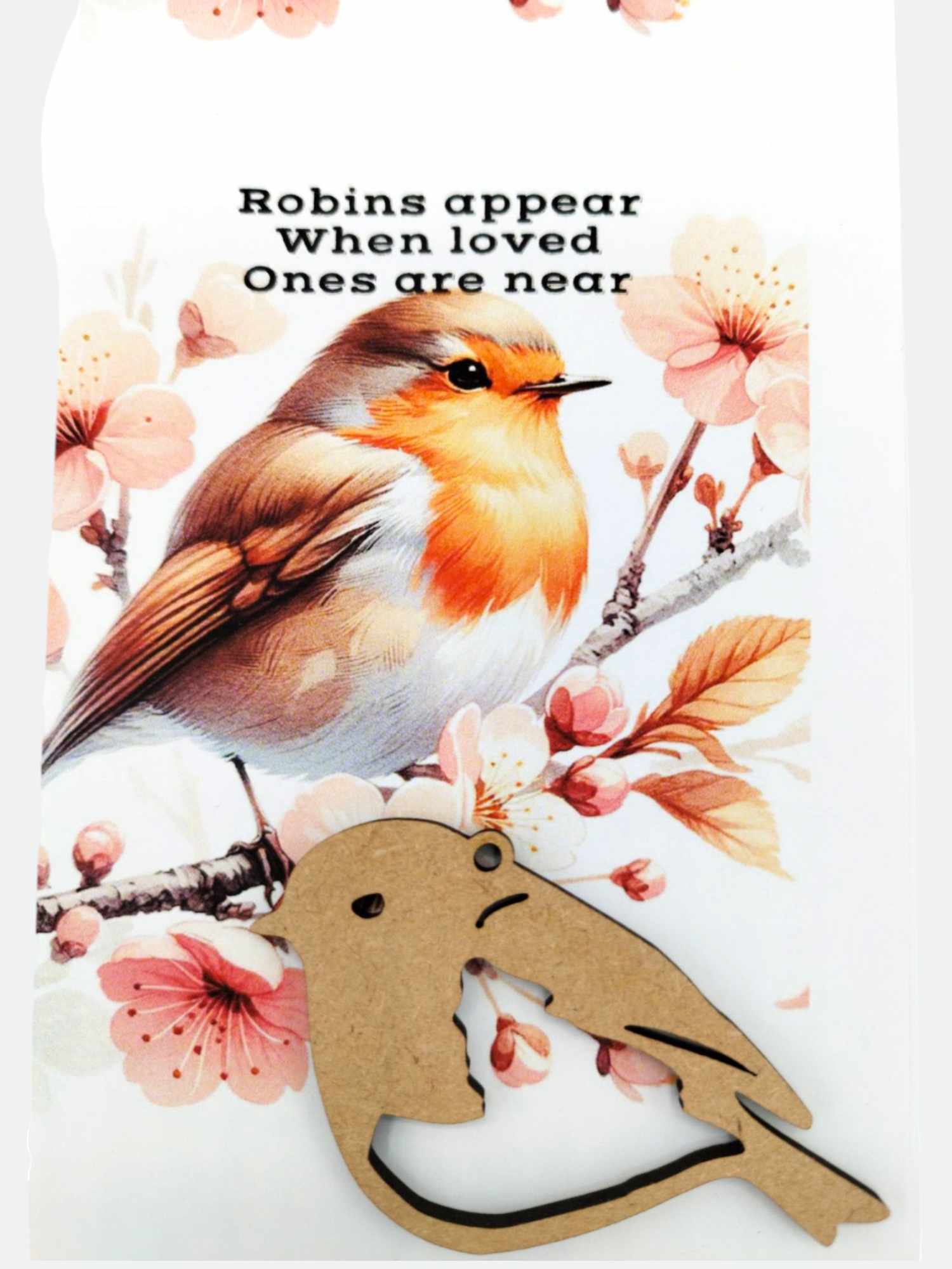 452662179_857908109019954_6956598086340645679_n