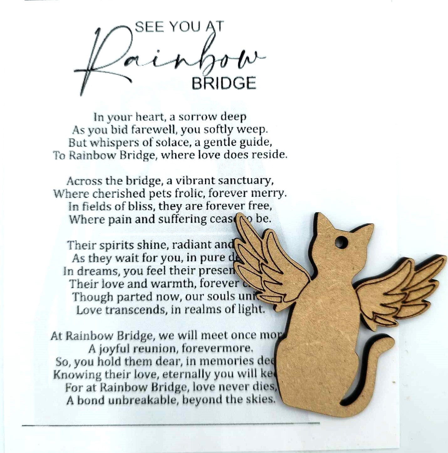 456469491_878759904125253_7617747837906541432_n