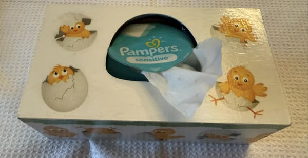 480885086_10163231029912650_5168825384294872583_n (1)