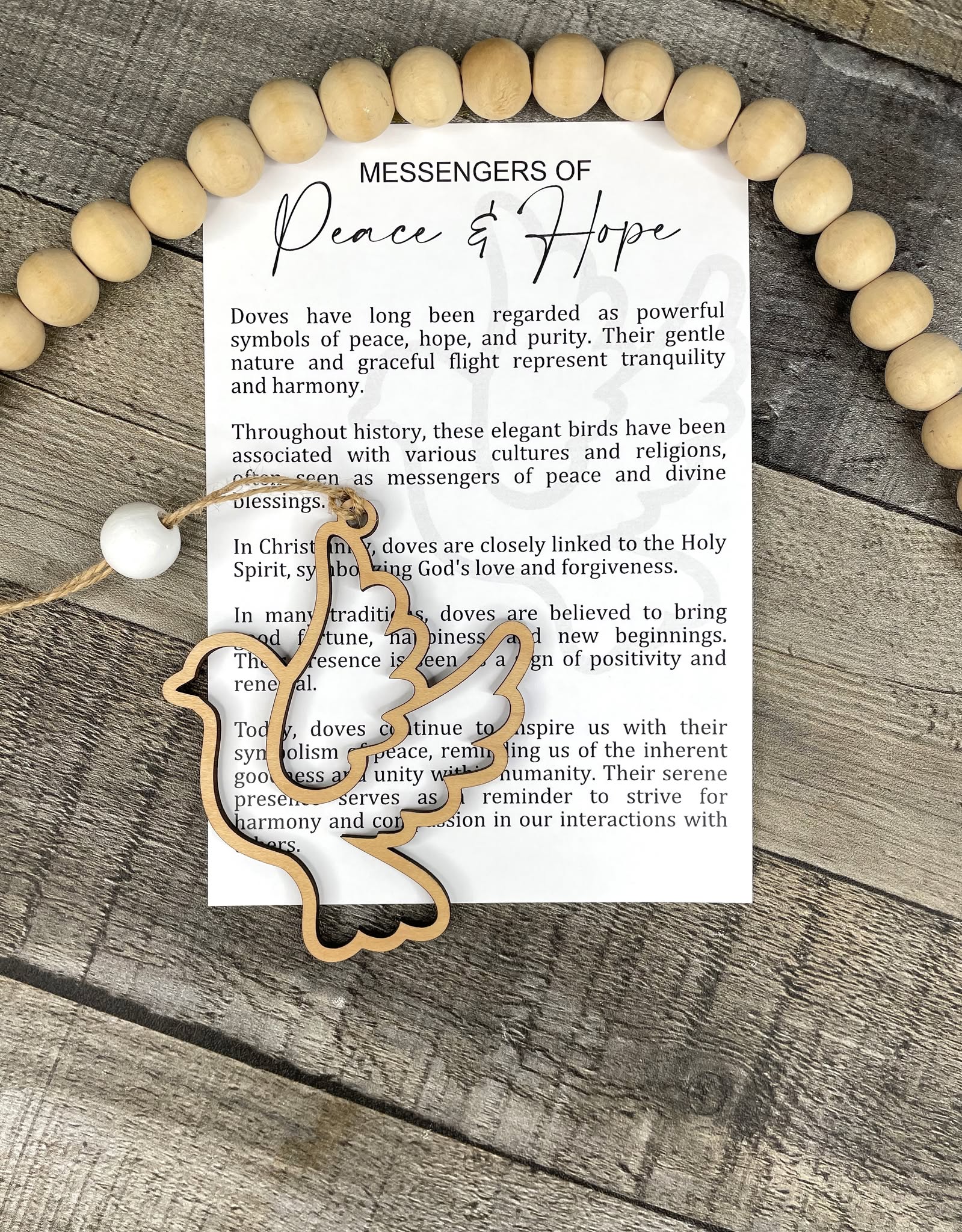 472990358_2036022456918645_895654046540831855_n