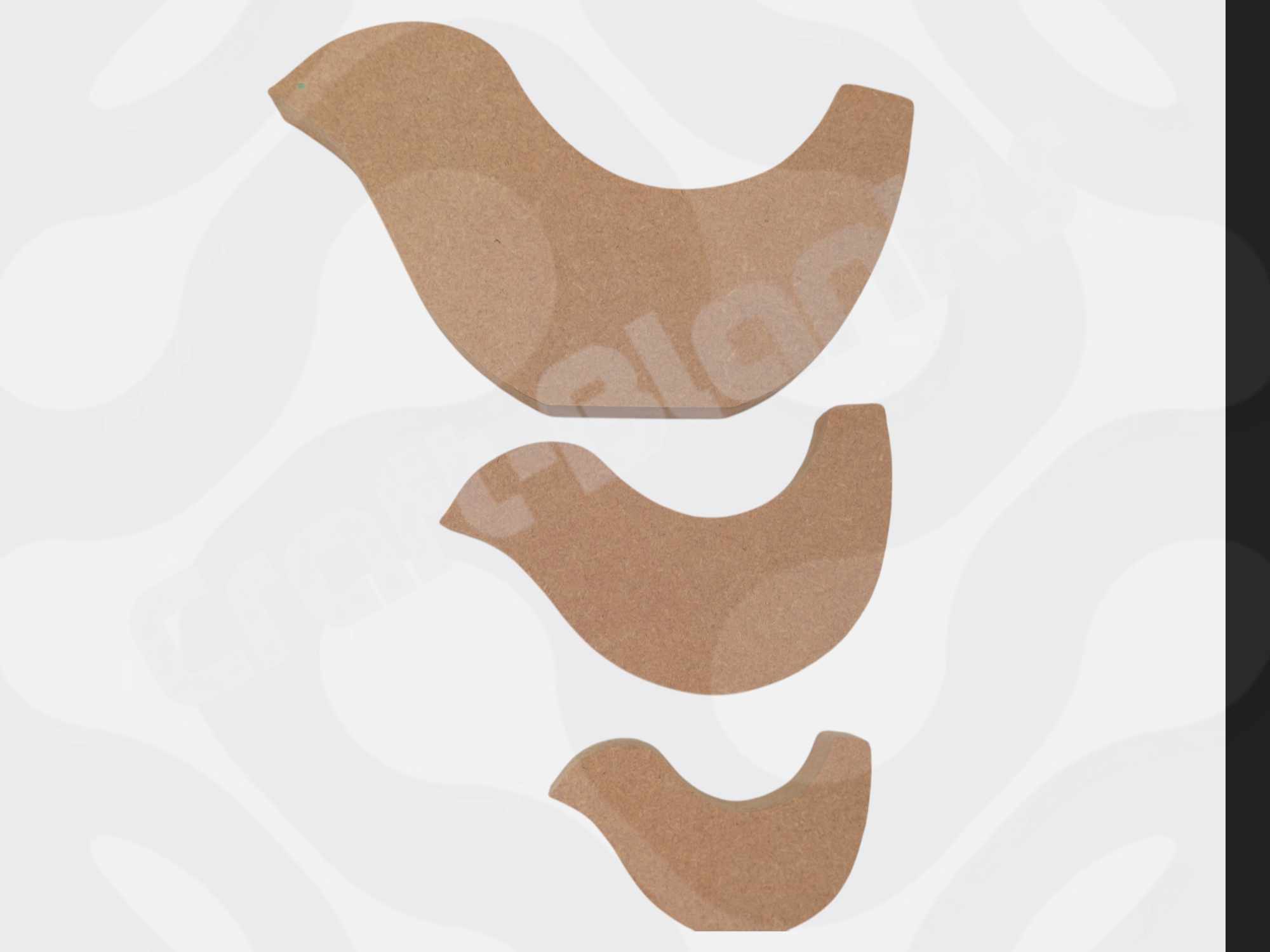 473089280_1127752488750459_7450319116457093223_n