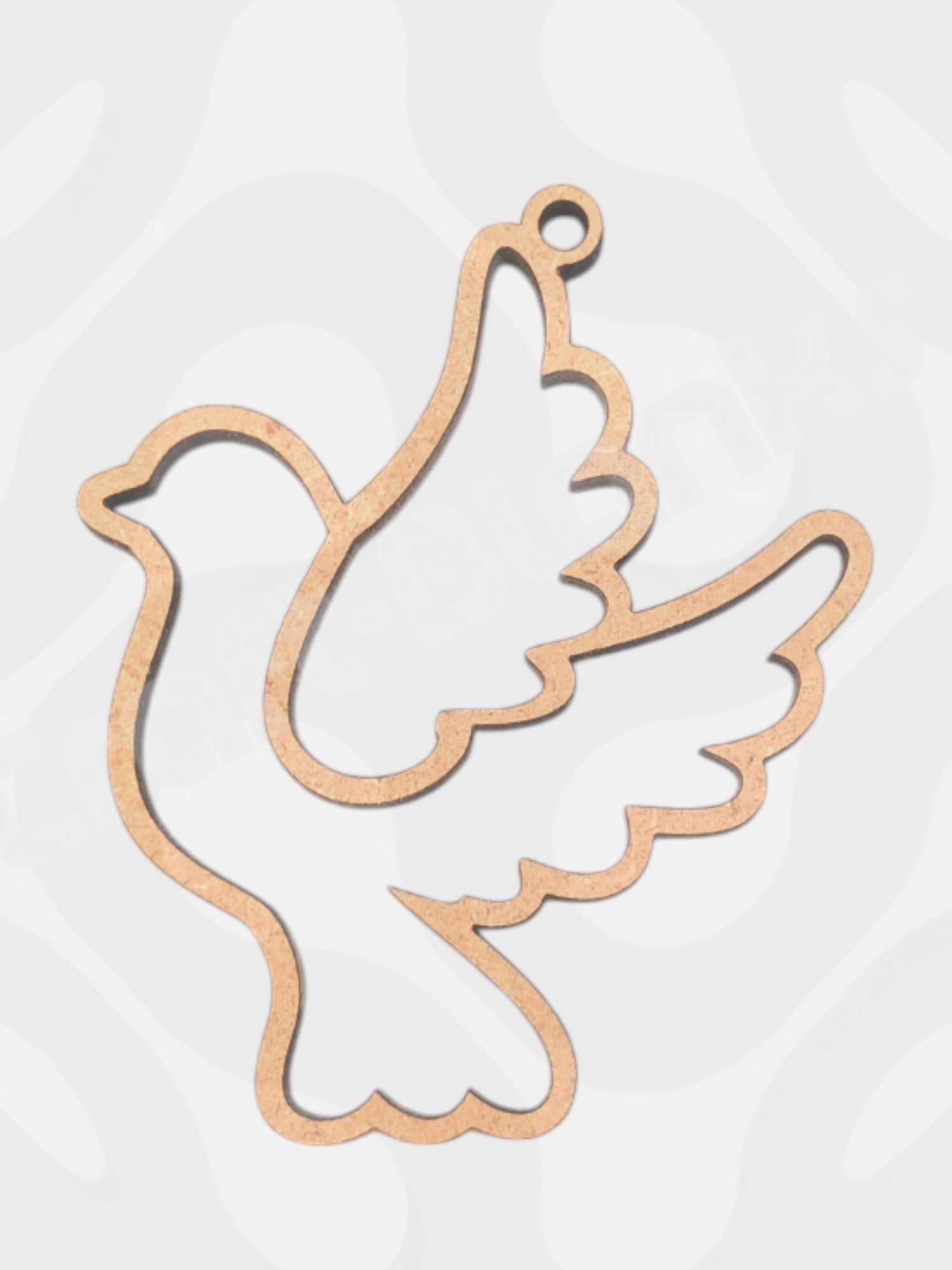 473385352_1155904099262918_6585157975646477236_n