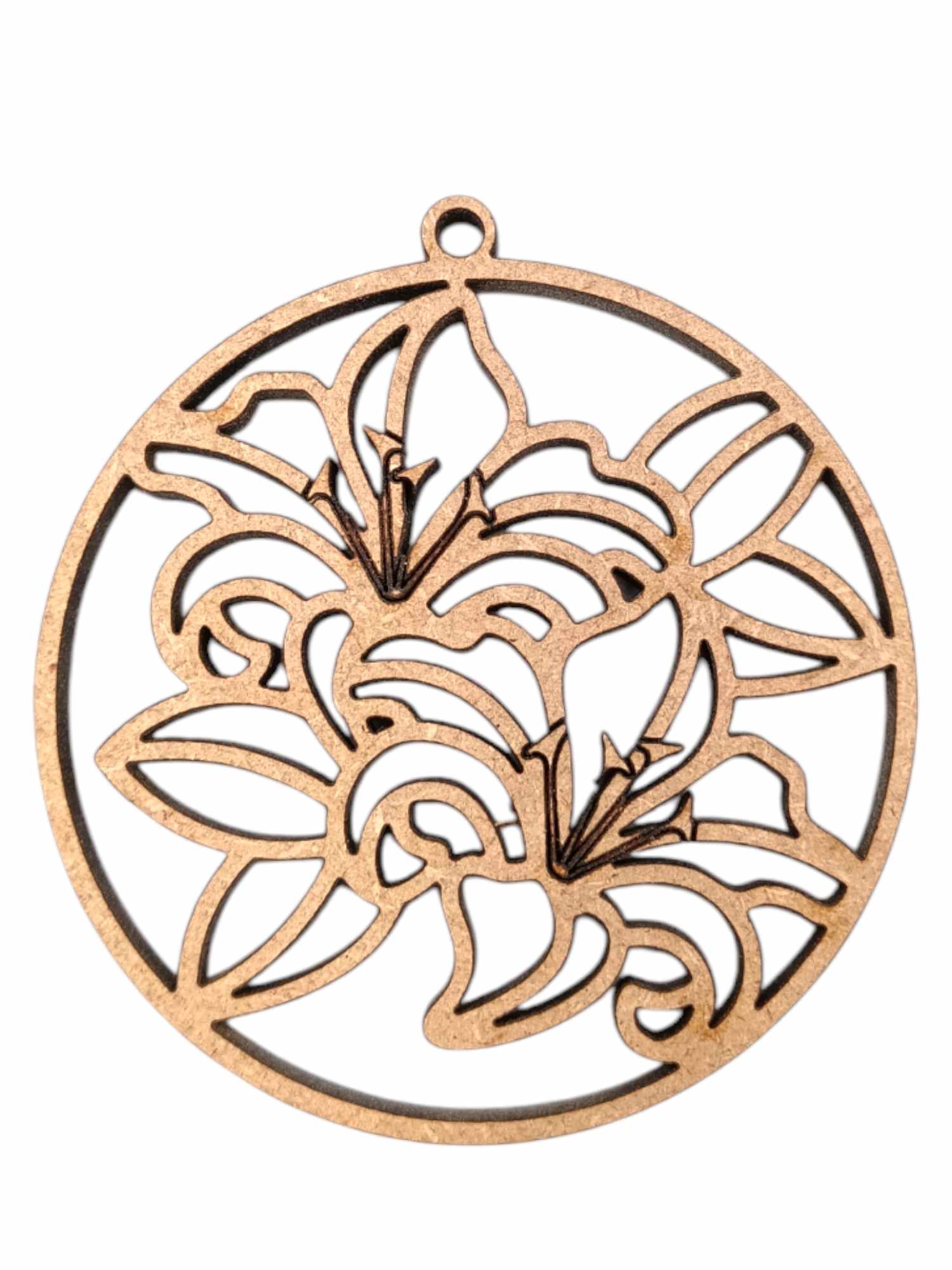 474680674_1089669216177293_6769619764039241833_n