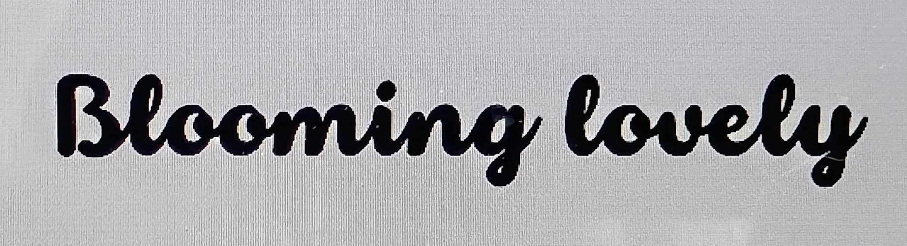 491013382_1351189319327453_232907095076479110_n