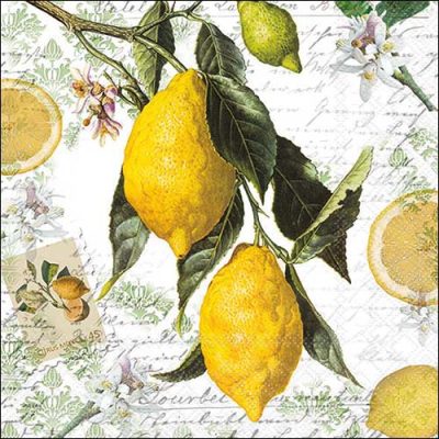 Lemon napkins 1084 33cm